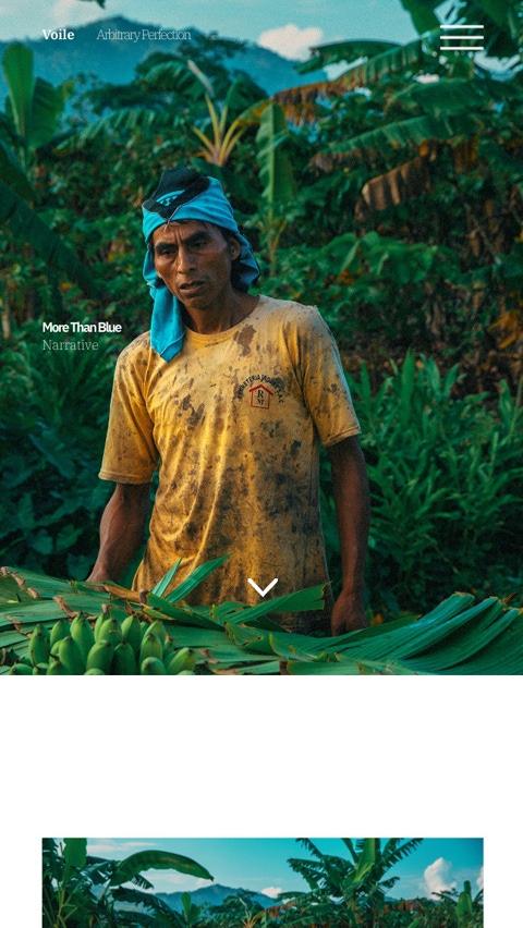 Voile theme for Fabrik portfolio website