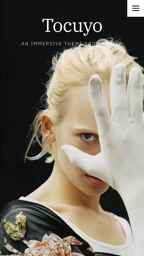 Tocuyo theme for Fabrik portfolio website