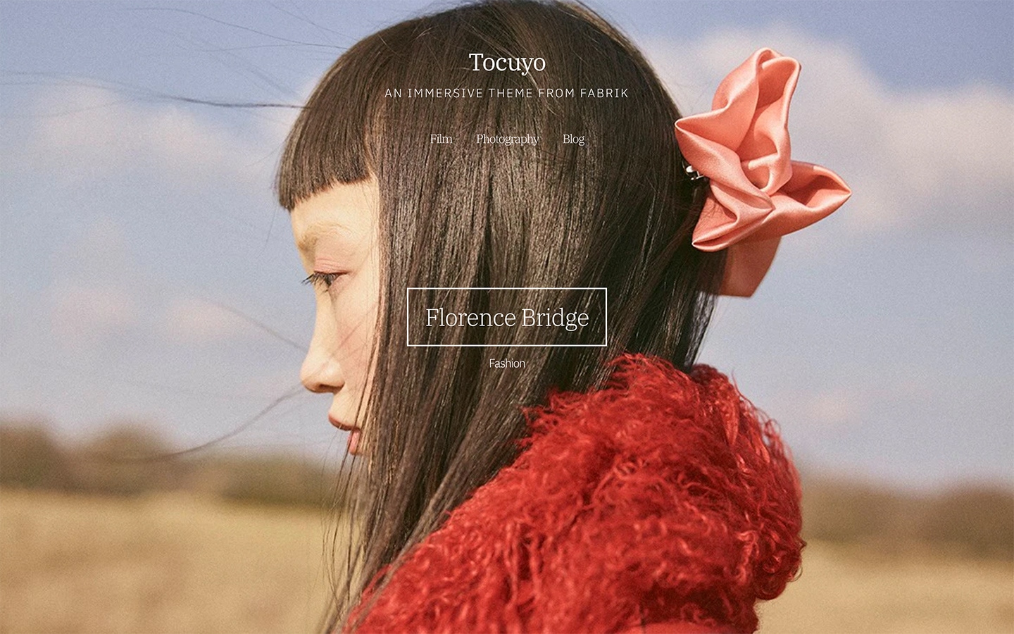 Fabrik photographer tocuyo theme